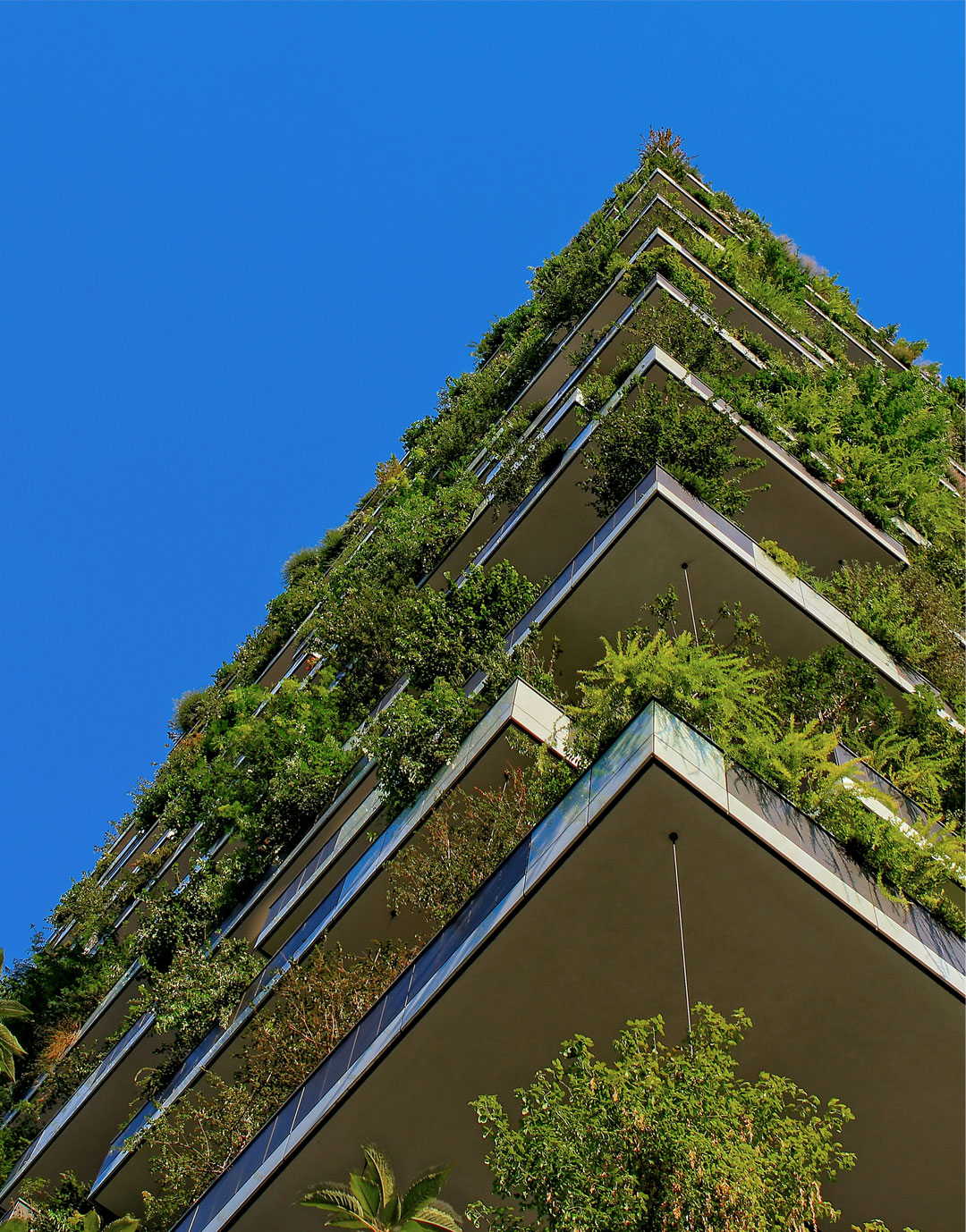 greenbuilding